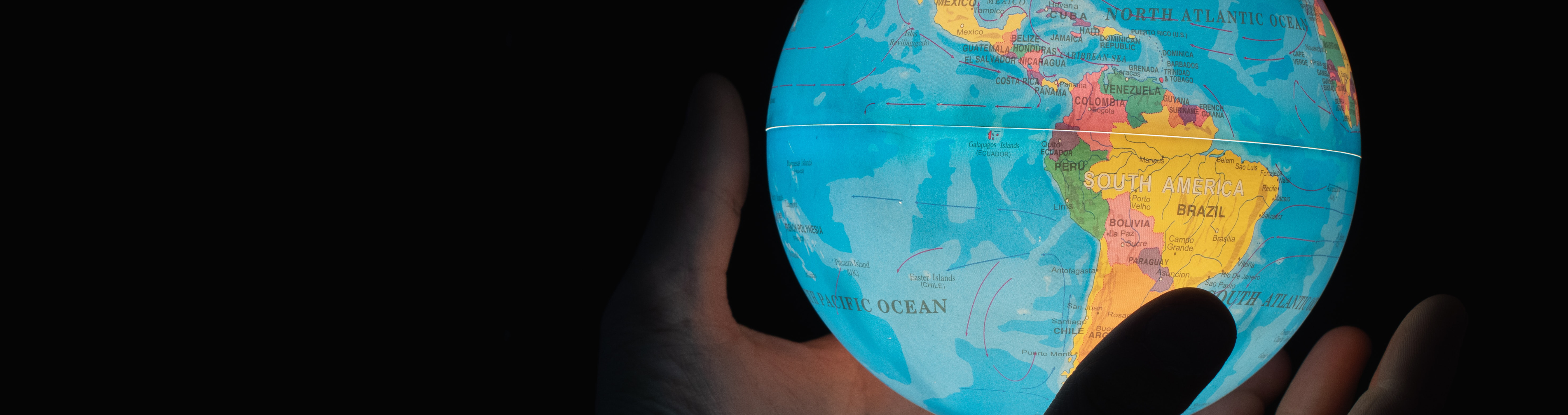 Ripartizione del fatturato